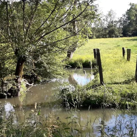 Le Logis De Lange Les Aigrettes