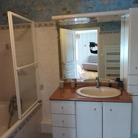 Le Logis De Lange Les Aigrettes Apartment Saint-Hilaire-la-Palud