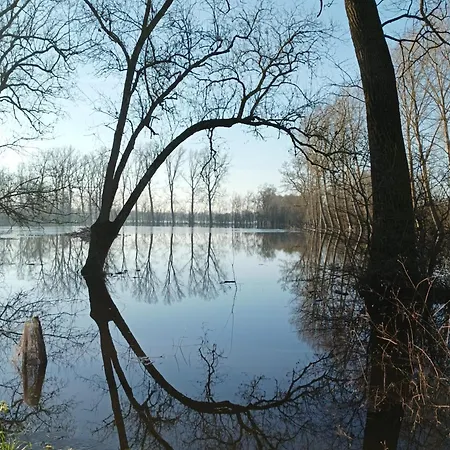 Apartament Le Logis De Lange Les Aigrettes