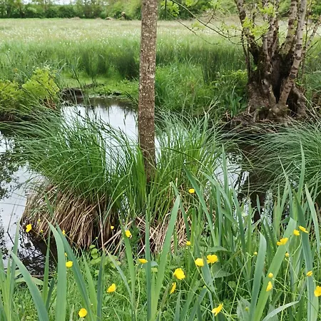 Apartament Le Logis De Lange Les Aigrettes *