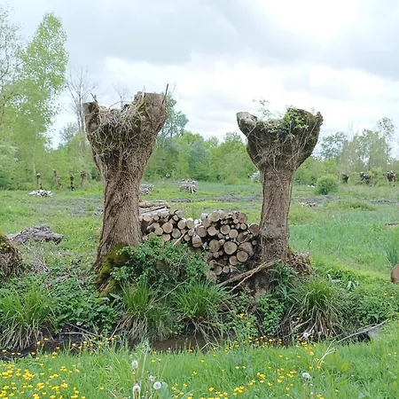Le Logis De Lange Les Aigrettes * Saint-Hilaire-la-Palud