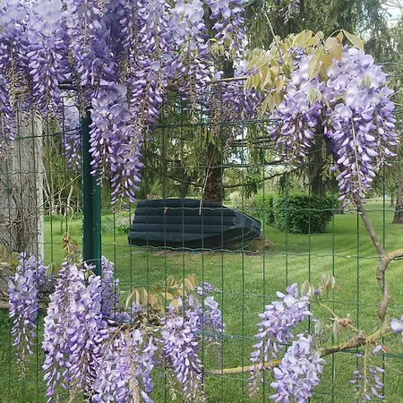 Le Logis De Lange Les Aigrettes Apartament