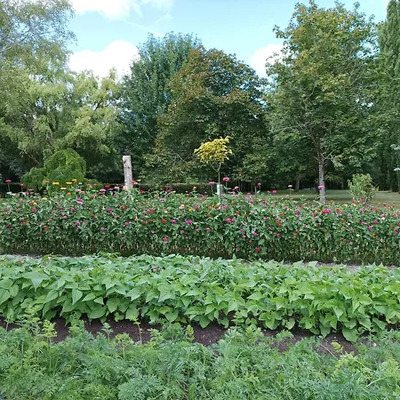 Le Logis De Lange Les Aigrettes Lägenhet Saint-Hilaire-la-Palud