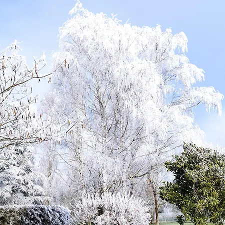 Le Logis De Lange Les Aigrettes Saint-Hilaire-la-Palud