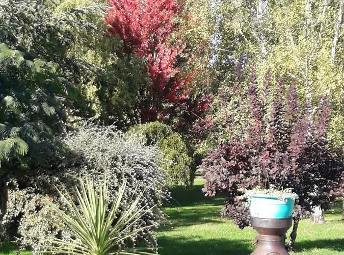 Le Logis De Lange Les Aigrettes