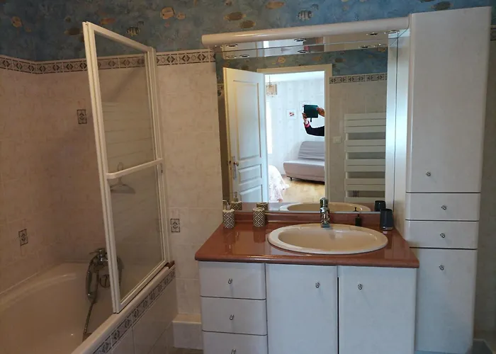 Le Logis De Lange Les Aigrettes Apartamento Saint-Hilaire-la-Palud