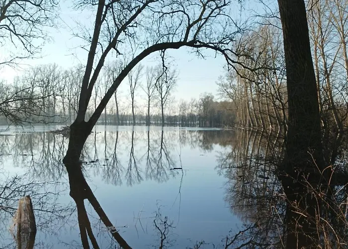 Apartamento Le Logis De Lange Les Aigrettes