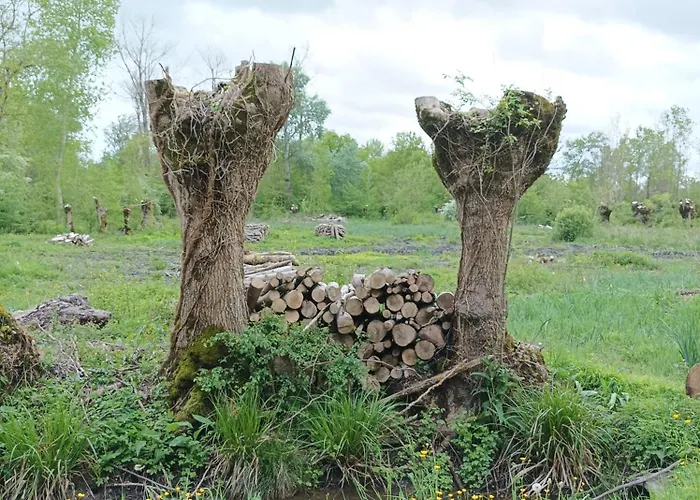 Le Logis De Lange Les Aigrettes * Saint-Hilaire-la-Palud