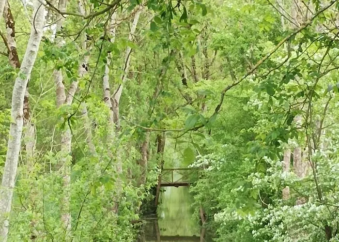 Apartamento Le Logis De Lange Les Aigrettes Saint-Hilaire-la-Palud