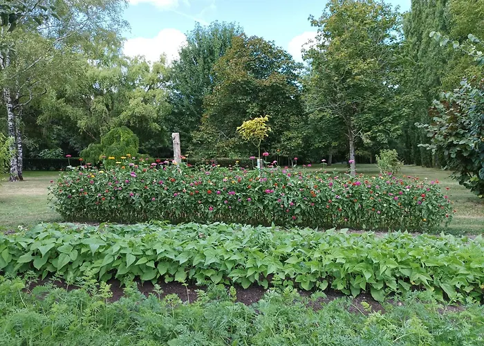 Le Logis De Lange Les Aigrettes Apartamento Saint-Hilaire-la-Palud
