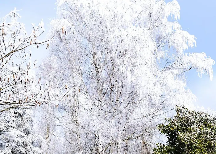 Le Logis De Lange Les Aigrettes Saint-Hilaire-la-Palud